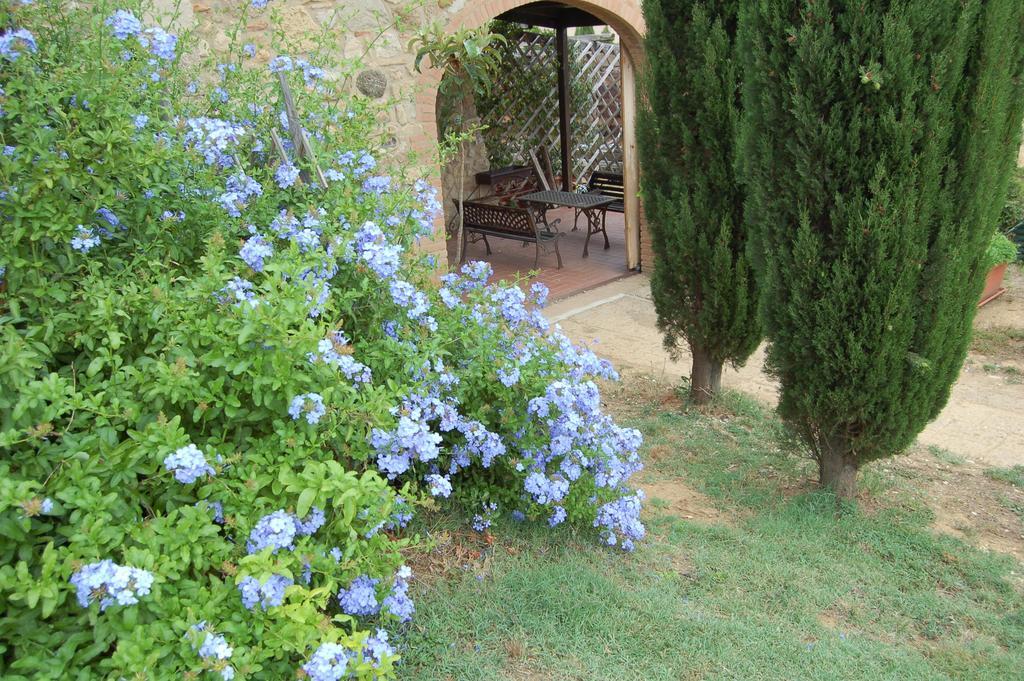 Podere Novo Apartamento Bibbona