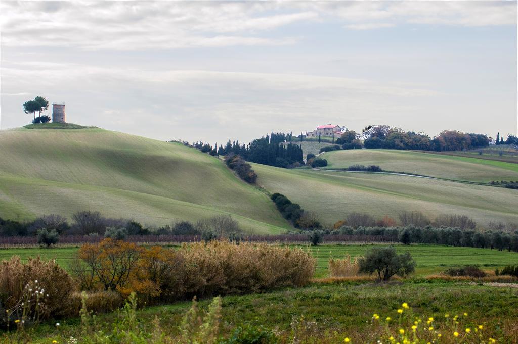 Podere Novo Apartamento
