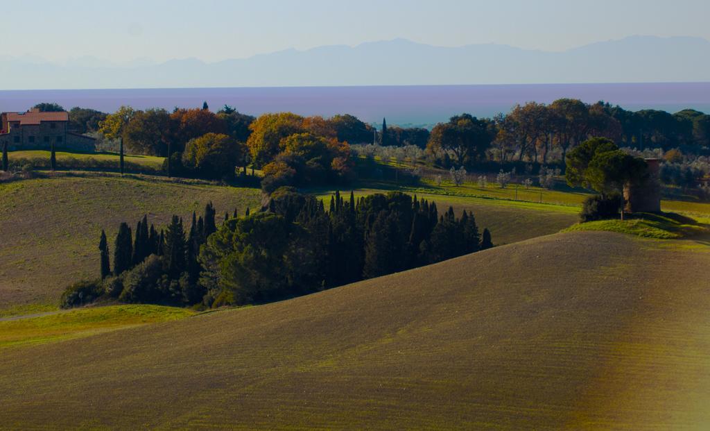 Podere Novo Bibbona