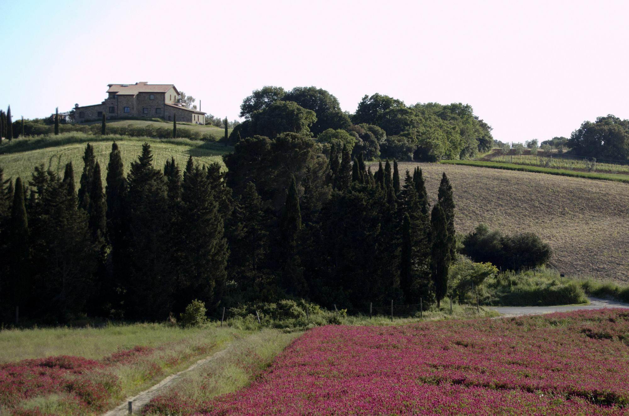 Podere Novo Bibbona